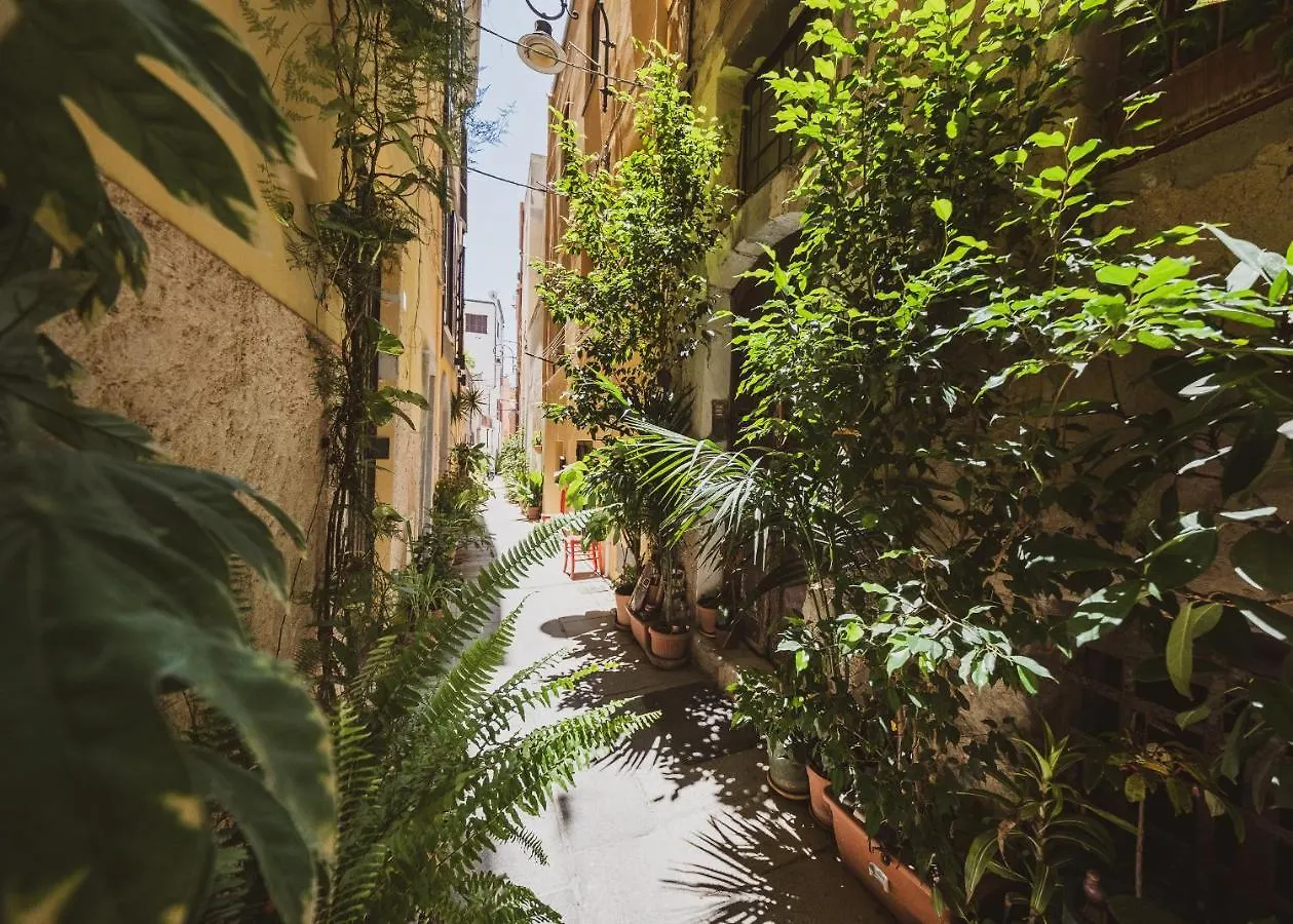 Appartamento Maestrale Agave - Quartiere Castello Cagliari