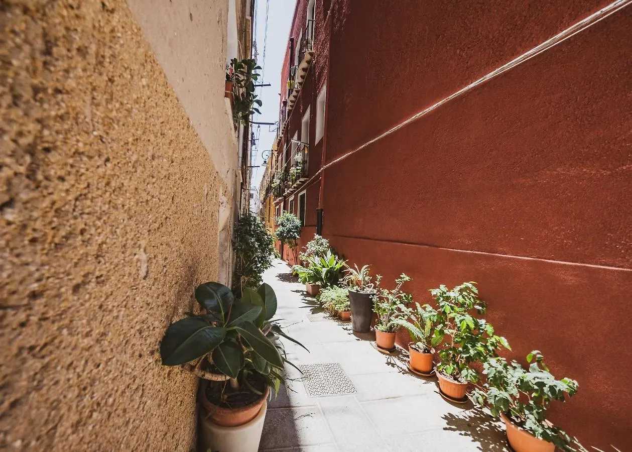 Appartamento Maestrale Agave - Quartiere Castello Cagliari Italy